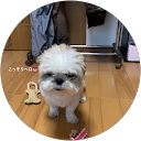 関森佳奈子 profile picture